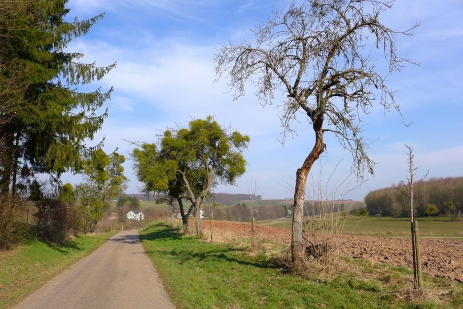 Wanderweg J23