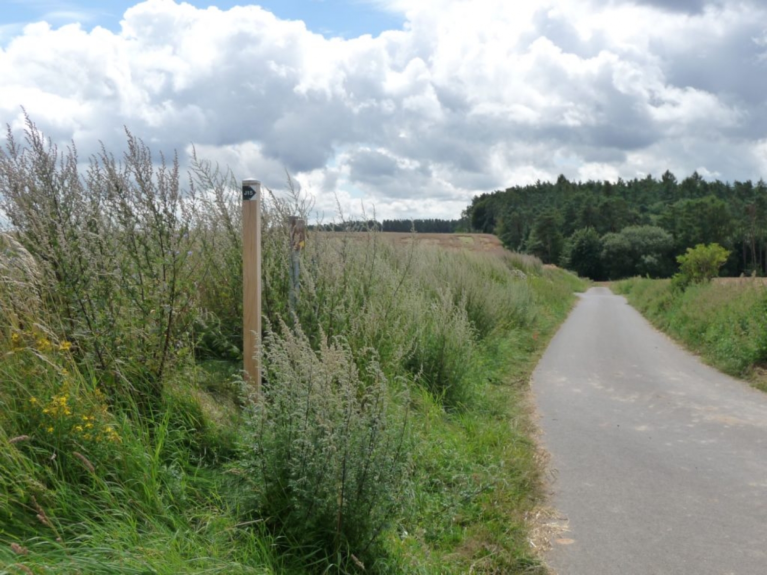 Wanderweg J15