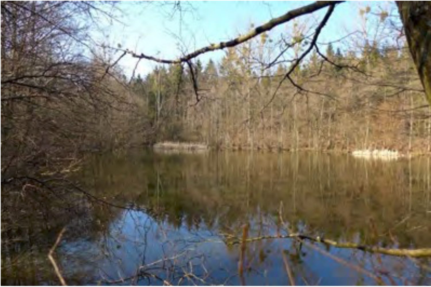 « Faschtbachweier » Rodenburg