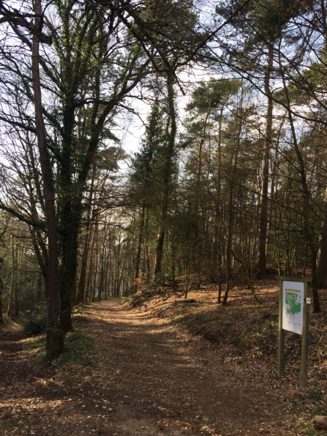 Wanderweg J18