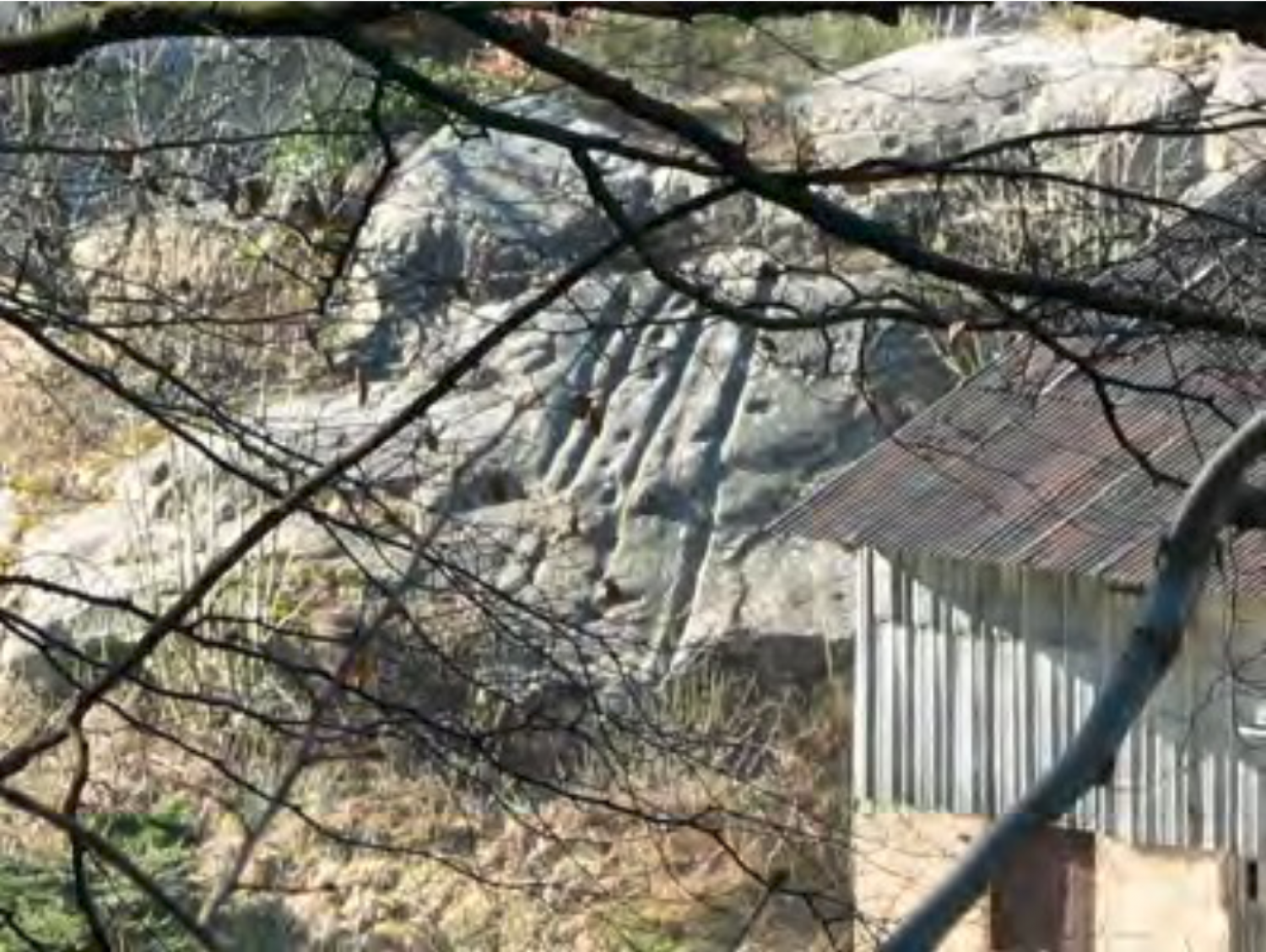 Historische Stätte "Schläifspurefiels Burglënster"