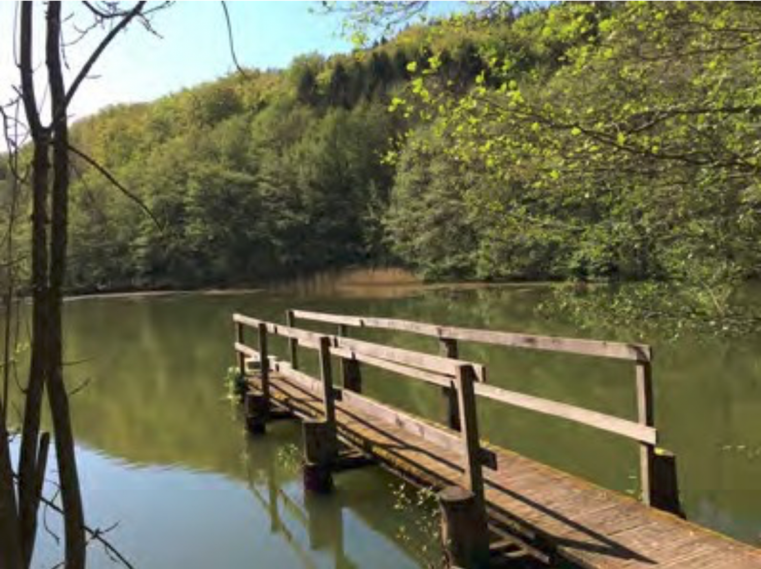 Stätte: Kriebseweier