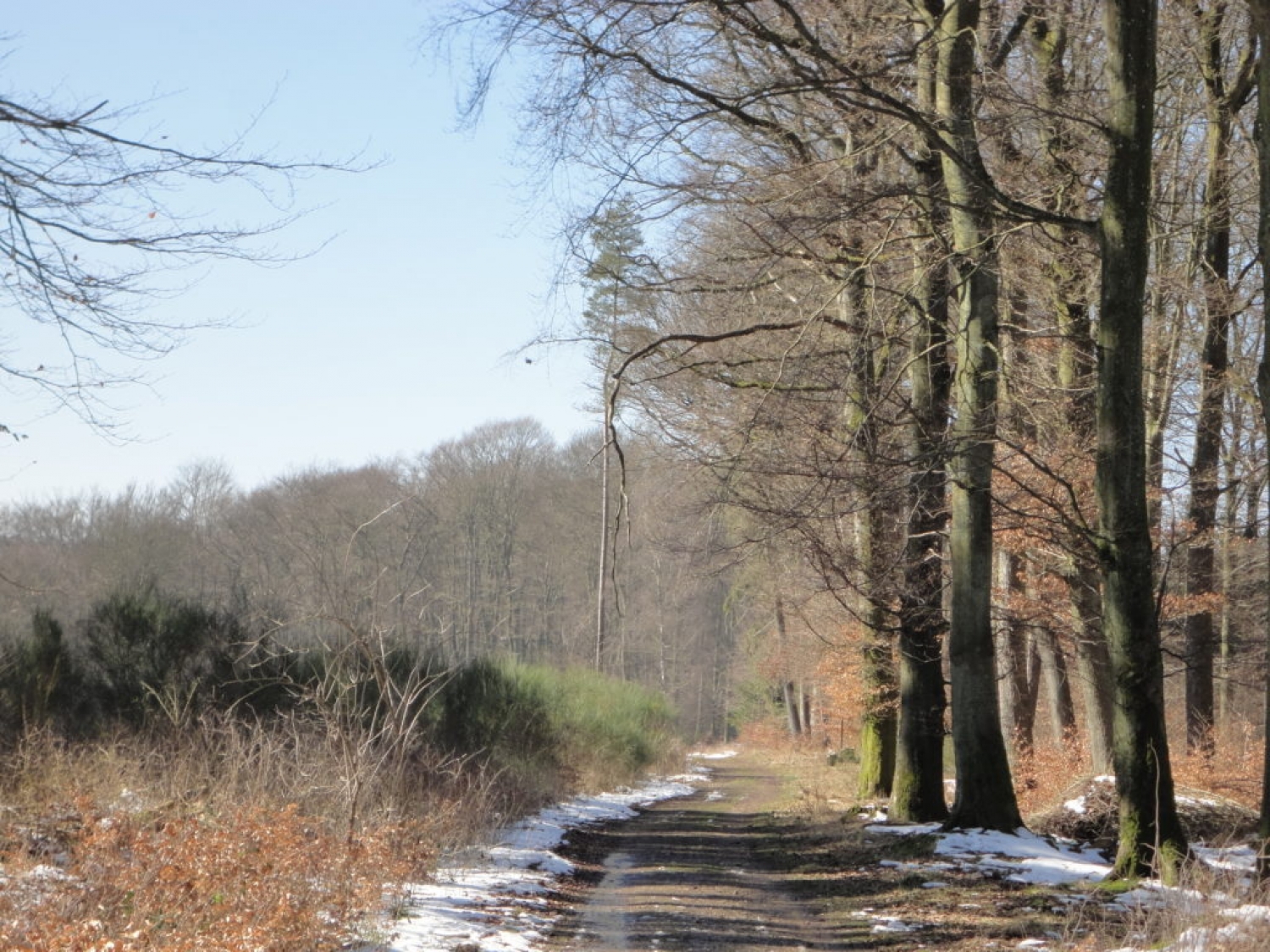 Wanderweg J8