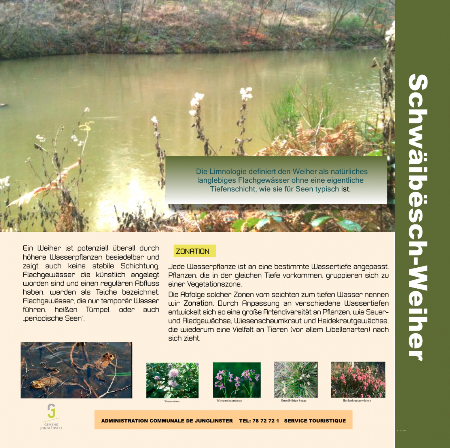 Schwäibesch Weiher