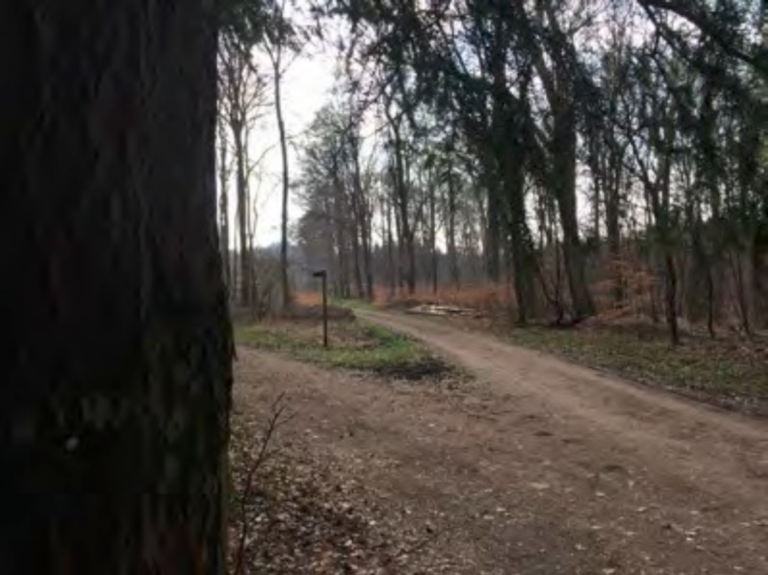 Historische Stätte “Schéiferbierg” Bourglinster