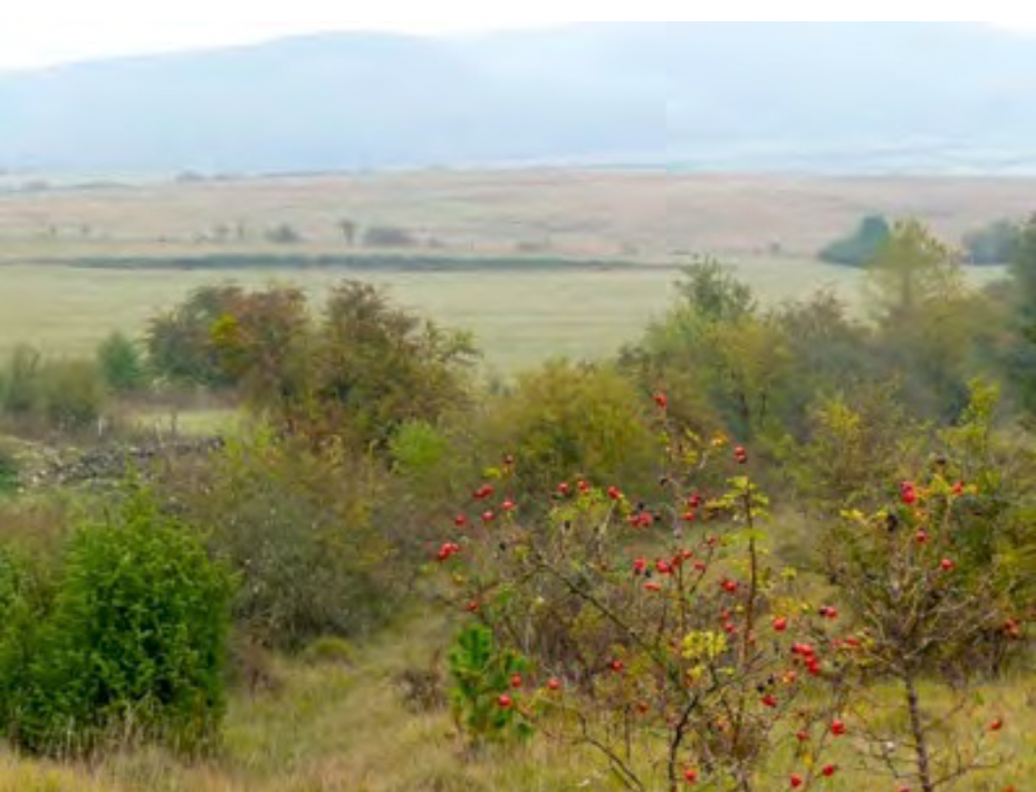 Aussicht: "Geespert"