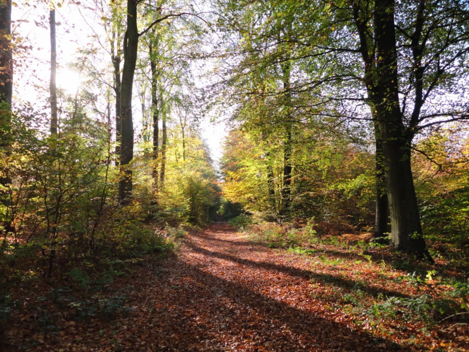 Wanderweg J9