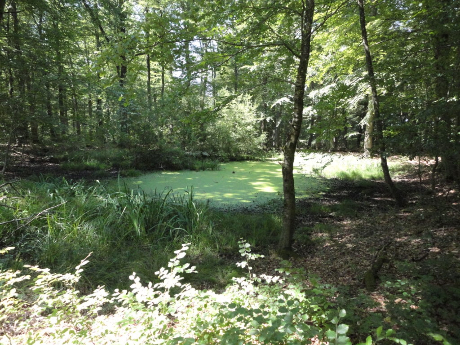 Wanderweg 25